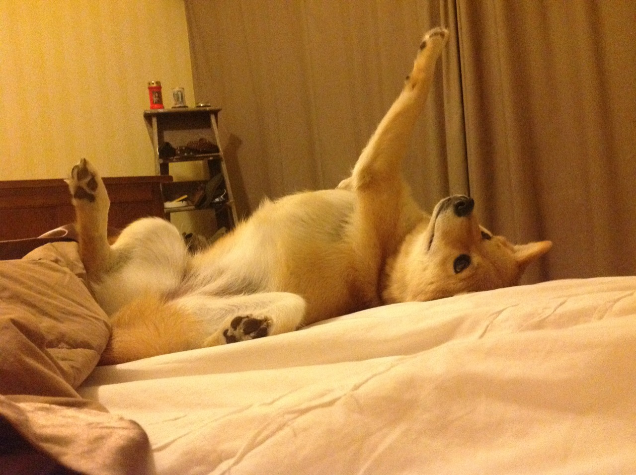 _奇才队奋勇拼搏，迎来胜利曙光_，奇才队赛事