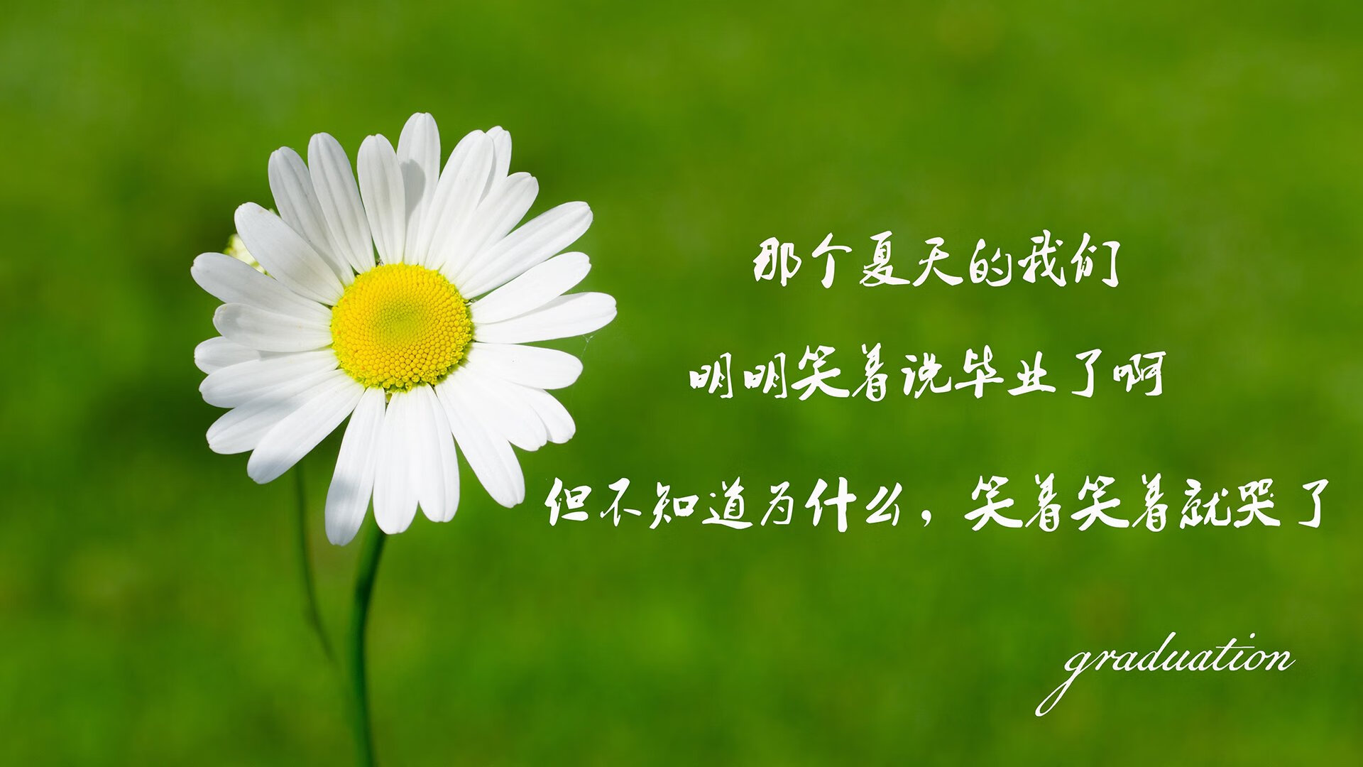 AC米兰队-德甲推广绿色环保赛事理念，绿色环保协会