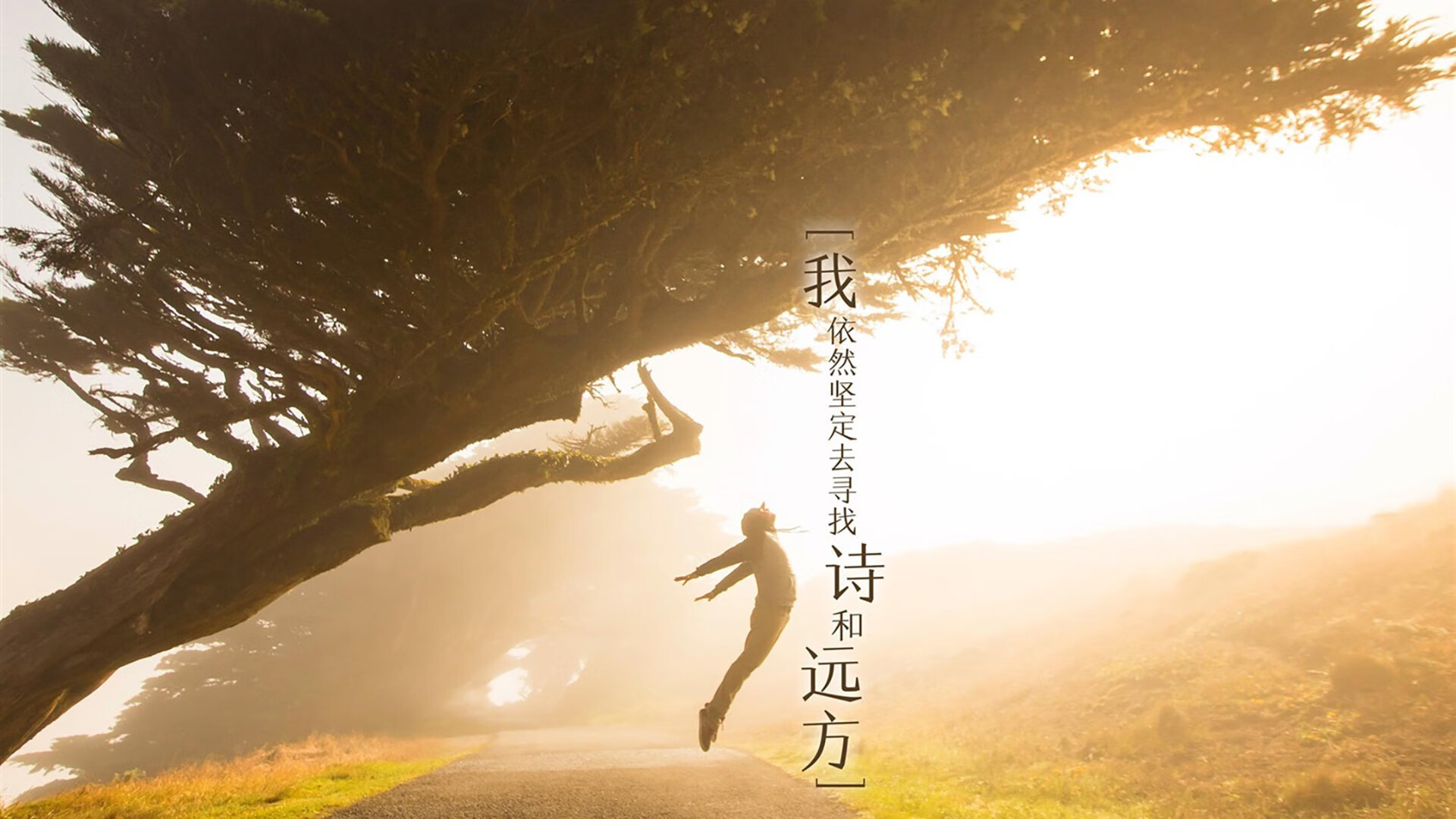 赛场周边：最受欢迎的粉丝定制商品，比赛周边