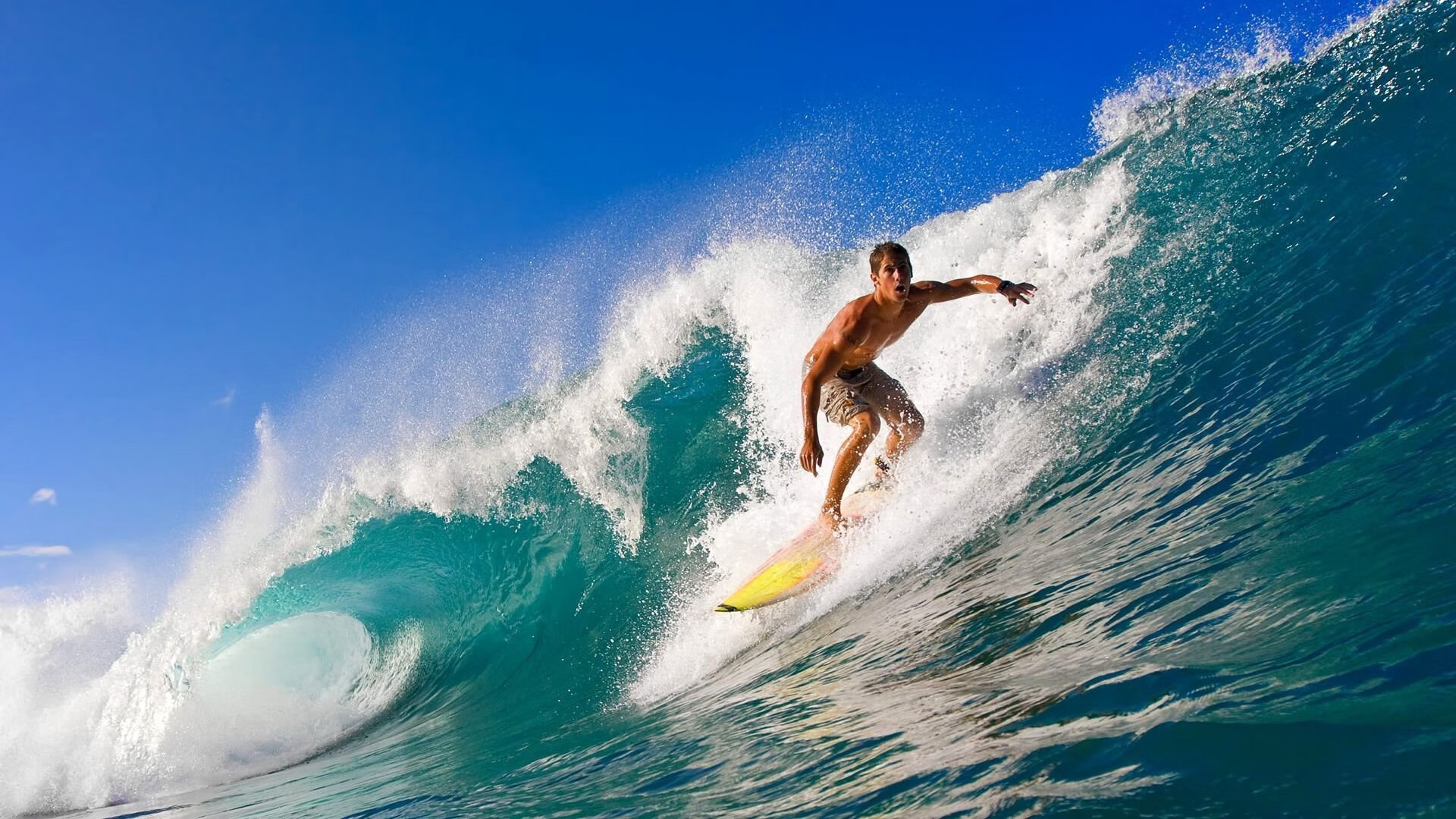 米兰体育app下载-裁判新规：提升判罚透明度，打造公平竞技环境，裁判如何形成